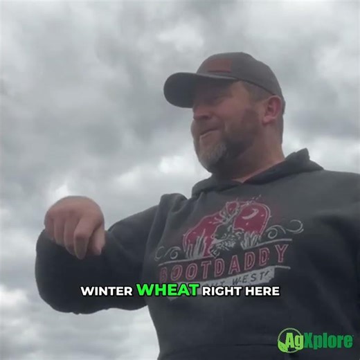 How Root Exudates Change Through the Season | What Crops Release and Why It Matters