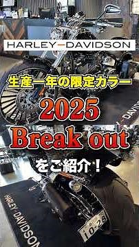 【Limited 1-Year Color】2025 Breakout! A Look at Our Custom Build