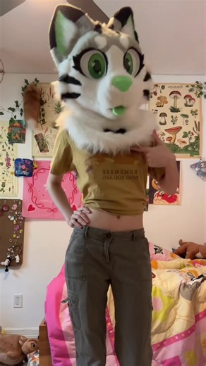 #furryfandom #fursuit #furry #furrytiktok #fursuiter | fursuit