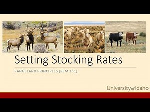 Setting Stocking Rates