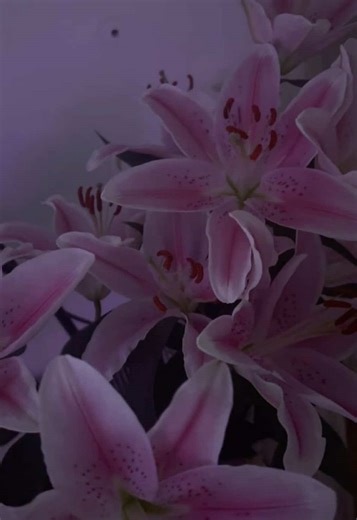 #fyyyyyyyyyyyyyyyy #centipede #bug #scary #roblox