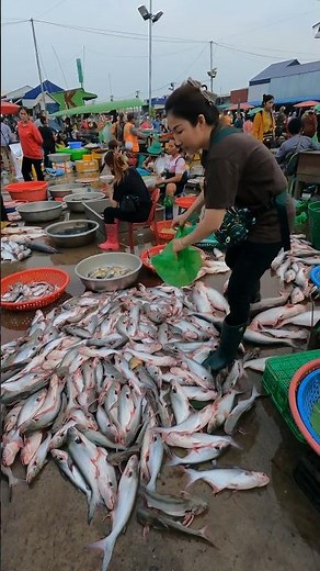 Amazing Cambodian Fish Market Scene - Wet Fish Market Tour #fishmarket #fishing