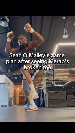 Fight Sector | O’Malley by spinning foot stomp #ufc #ufcfighter #ufcfight #ufc316 #ufcpicks #ufccards #ufcchampion #seanomalley #merabdvalishvili #mma... | Instagram