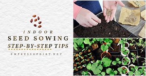 How to Sow Seeds Indoors Step-by-Step — Empress of Dirt
