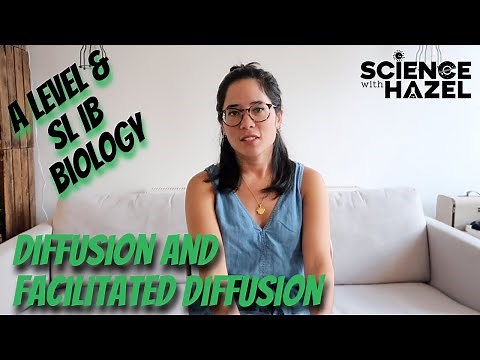 Diffusion & Facilitated Diffusion | A Level & SL IB Biology