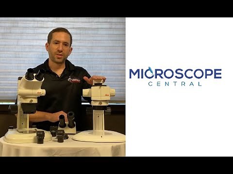 Types of Stereo Microscopes: Greenough vs. Common Main Objective [2020]
