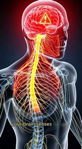 What Happens to Your Body When You Hold Your Breath#humanbody #medicalanimation