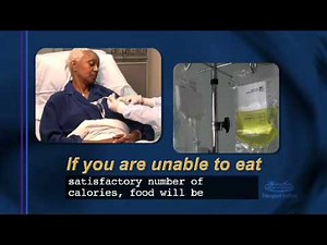 Bone Marrow Transplant Patient Information: Chapter 11 - Engraftment