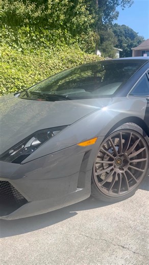 When You Just Collect Lamborghinis for a Living