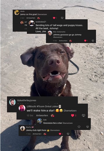 Good morning everyone! This is day 2 of making Johnny a star! 🐾 #dog #fy #dogtok #makehimfamous