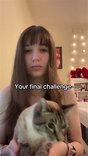 Brain Rot Cat Names: Stop Bullying Your Cat Challenge