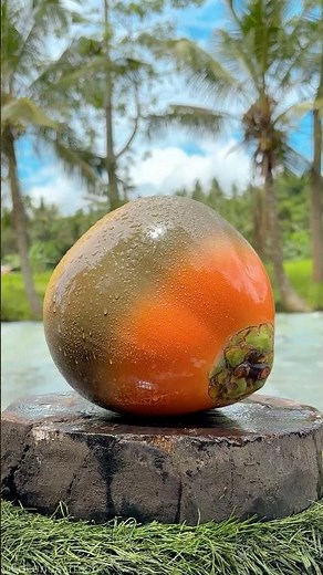 Coconut Sounds That Melt Your Stress Away