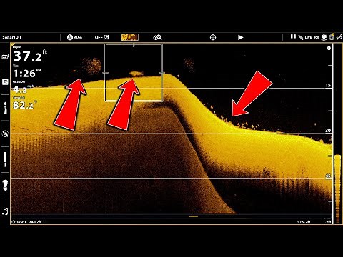 How To Find Offshore Bass In Summer! + Shore Fishing Tips!