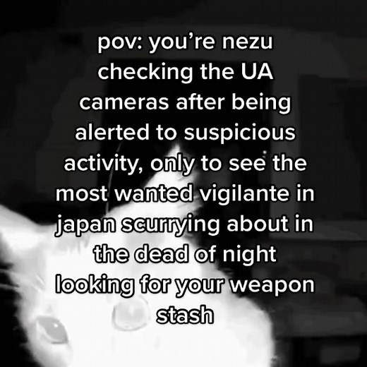 nezu speaks thru the camera like “yknow you could’ve asked me, young man. I would’ve let you come in when school started” and Izuku just runs #mha #vigilanteizuku #nezu
