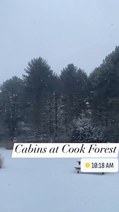 Today would be a great day to build a snowman! ☃️🌨️⛄️ | Cabins at Cook Forest