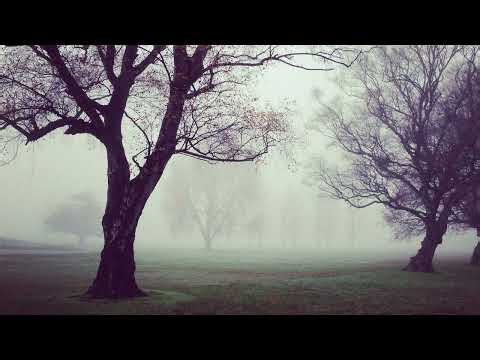 Exploring the Concept of 'Top'