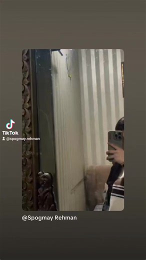 Spogmay Rehman (@spogmay.rehman)’s videos with original sound - Spogmay Rehman