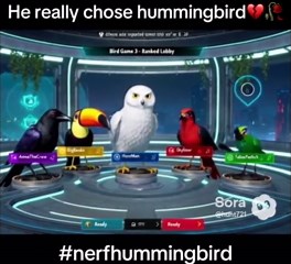 Hummingbird Choice in Bird Game Shocks Players