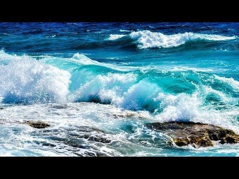 🌷 Relaxing Music - Ocean Waves - Seagulls - Beautiful Piano, Sleep Music, Stress Relief - Relax