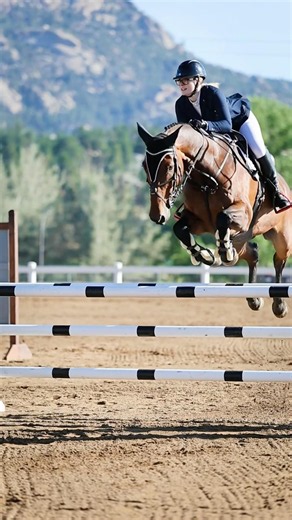 Jumping like $5,000 depends on it😂🤗 #jumping #fyp #sports #riding #showjumping