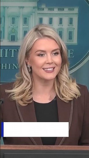 $2,000 Dividend for Every American? Trump’s Historic Tariff Plan Explained | DWS News | AC14