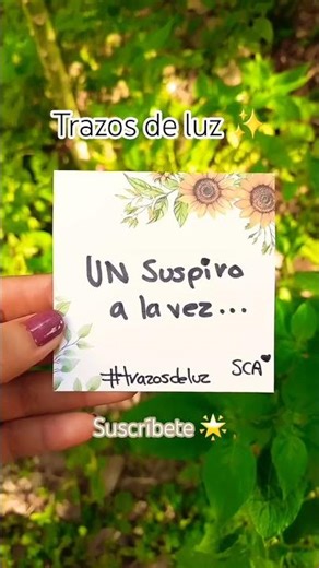 Trazo de luz✨ 130