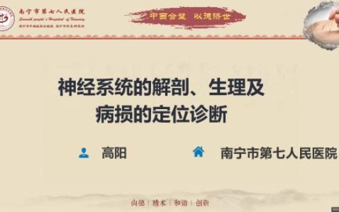 神经系统的解剖生理及病损的定位诊断