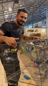 How is it?? | PET STATION