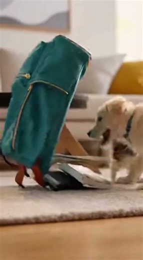 The Backpack Monster Attack