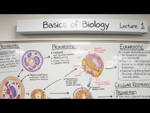 Basics of biology L-1