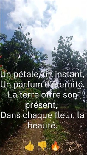 🌿La terre offre son présent. #planèteterre #conservation