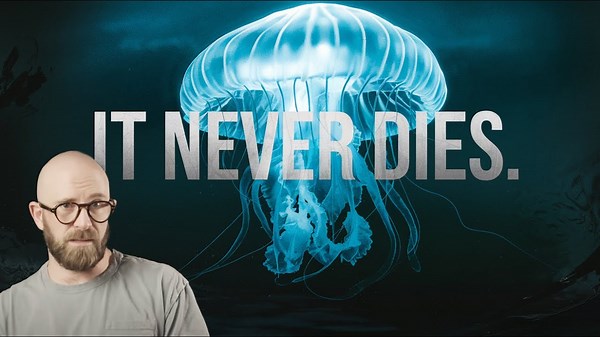 5 Bizarre Natural Phenomena That Stump Scientists