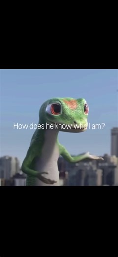 Audio Issues in Snapecko Video Explained