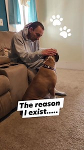 7.6K views · 743 reactions | Why do dogs exists in our lives? #dogsarelife #dogtherapy | Its a Boxer Dog Life | Facebook