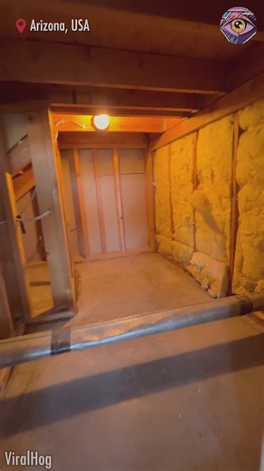 Dog gets cozy home under the stairs | Bright Side