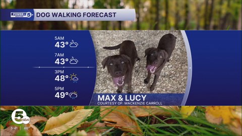Windy, cold and rainy for today's dog walking forecast