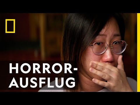 Die Welle brachte Panik | Tsunami: Wettlauf gegen die Zeit