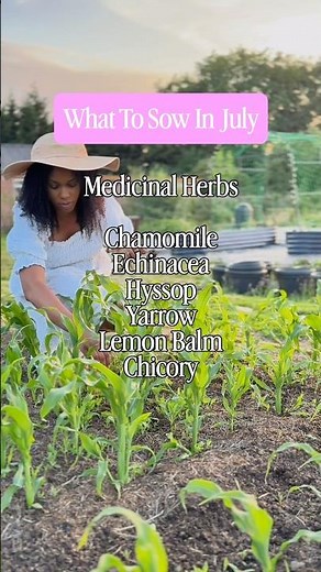 What to Sow in July 🌱 UK Growing Guide | Vegetables, Herbs, Flowers & Fruit #growyourownfood