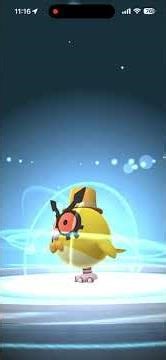 Shiny New Years hat Hoothoot Encounter plus Evolution into Shiny New Years Noctowl in Pokémon Go