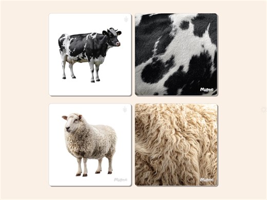 Farm Animals Matching Cards | Realistic Farm Animal Printable | Montessori Preschool Activity | 14 Cards + 14 Skins | Instant Download - Etsy