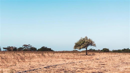 The Great American Drought: Why Our Water Crisis is Just Beginning