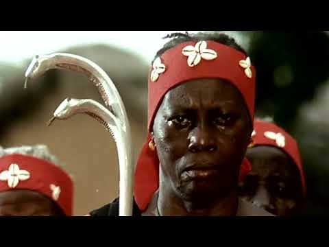 MOOLAADE Bande annonce (2005) de Ousmane Sembene