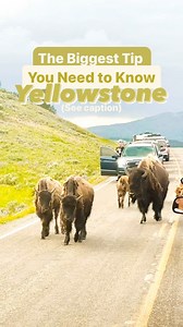 4.7K views · 14 reactions | Save this post for the biggest tip you...