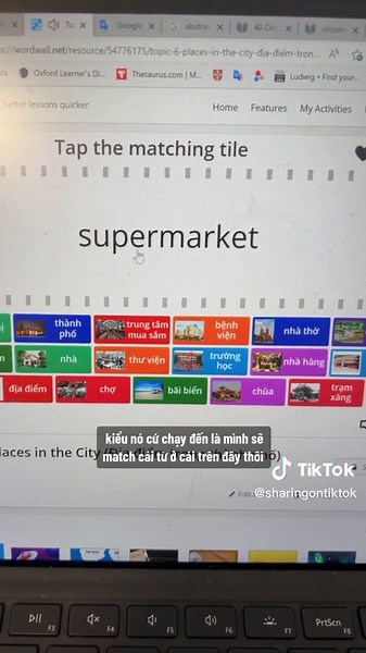 Website Games for Vocabulary Learning on Wordwall