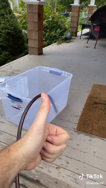 Alright guys let’s do this experiment together! We need a name for him