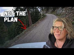I Drove a Terrifying Forest Road Into California's Wilderness — Then a Bear Found My Camp