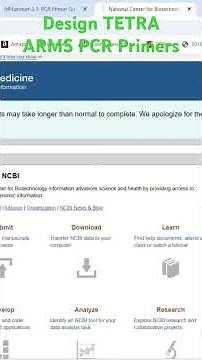 Design TETRA-ARMS PCR Primers#mfe#pcr#gene#genome#polymerase#chainreaction#biology#education#micro