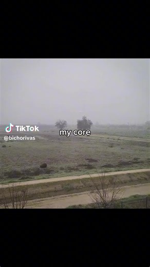 Marvel/Armadillo (@marvelarmadillo.l)’s videos with original sound - Marvel/Armadillo