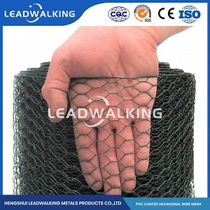 [Hot Item] Leadwalking Low Carbon Steel Wire Material PVC Coated Chicken Coop Wire Mesh Factory China 3cm*1.25 Inch Hexagon Galvanized Wire Nettings