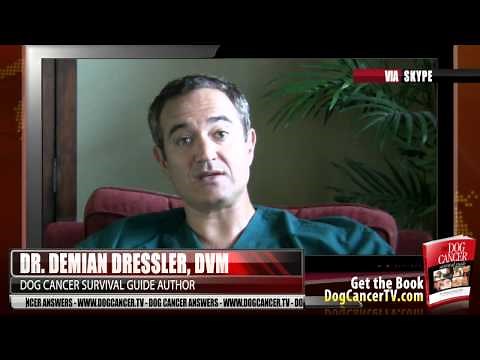 What Is Cachexia and What to Do